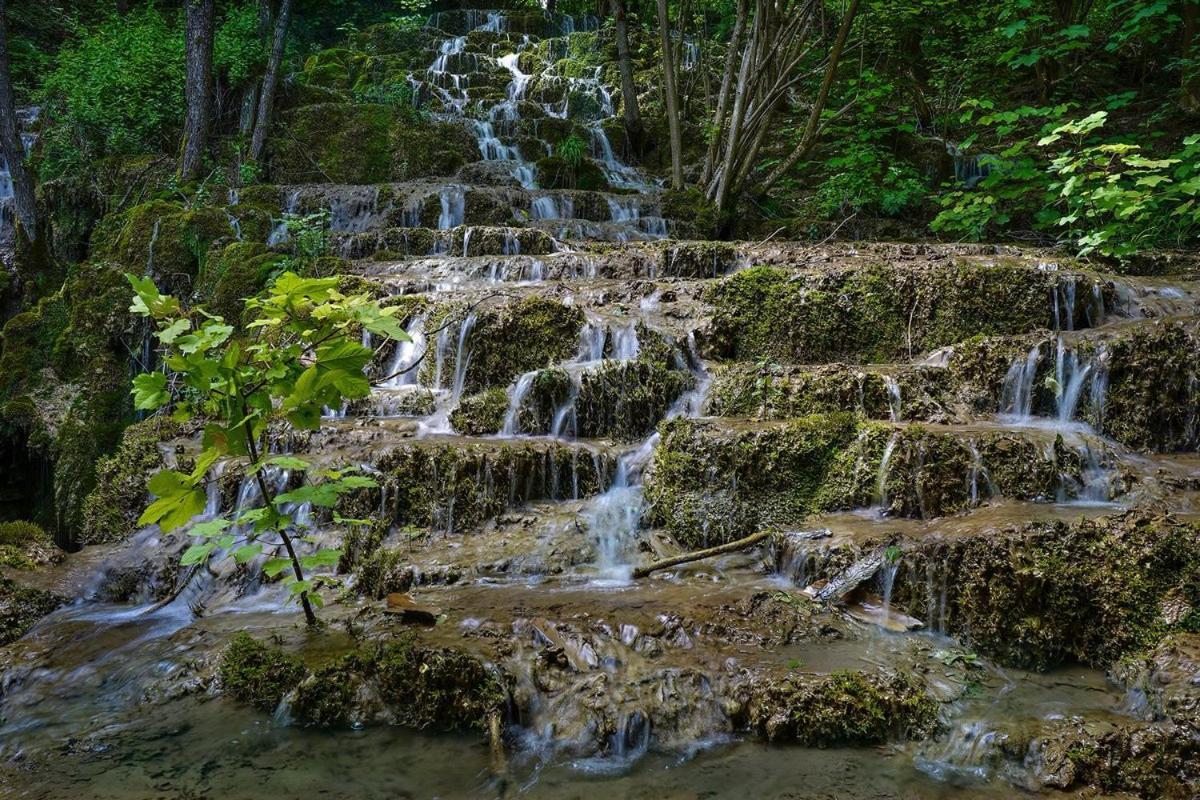 Garni Hotel Mali Predah - Novi Deo Knjazevac Екстер'єр фото